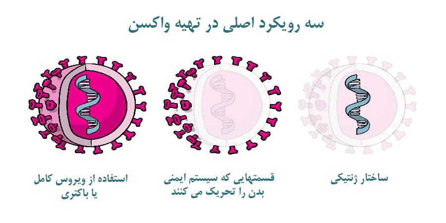 مقایسه انواع واکسن