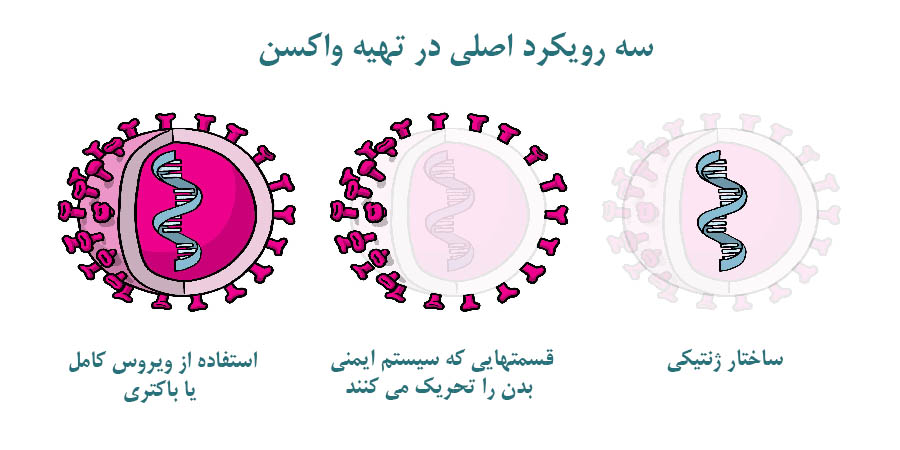 مقایسه انواع واکسن